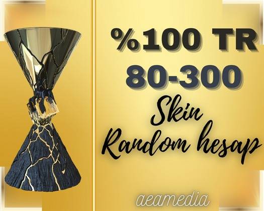 TR SUNUCU | 80 - 300 SKİN RANDOM HESAP